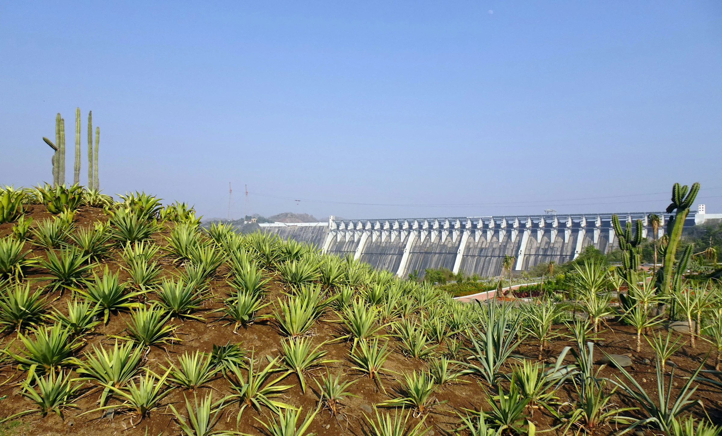 GERD dam: Dams promise progress but create new shortages. Population growth turns rivers into flashpoints in the struggle for global water security.