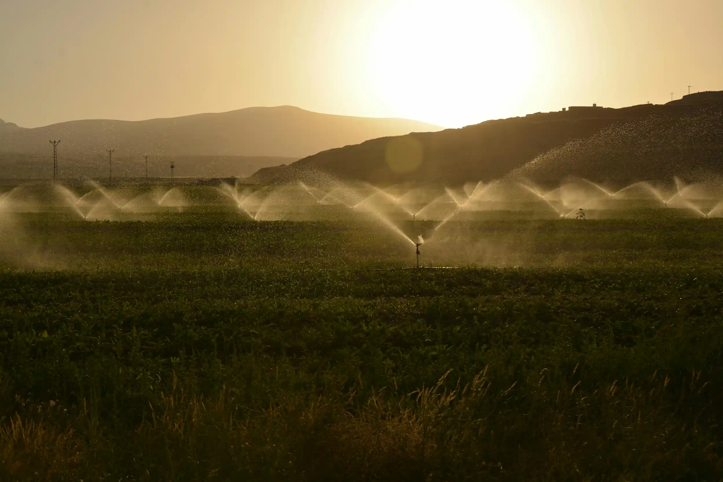 fresh water is needed for food production